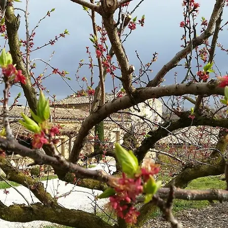 Couette-café Mas Du Moutet La Capelle-et-Masmolene