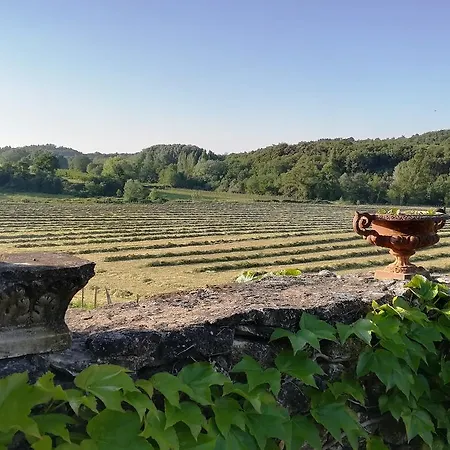 Mas Du Moutet Couette-café